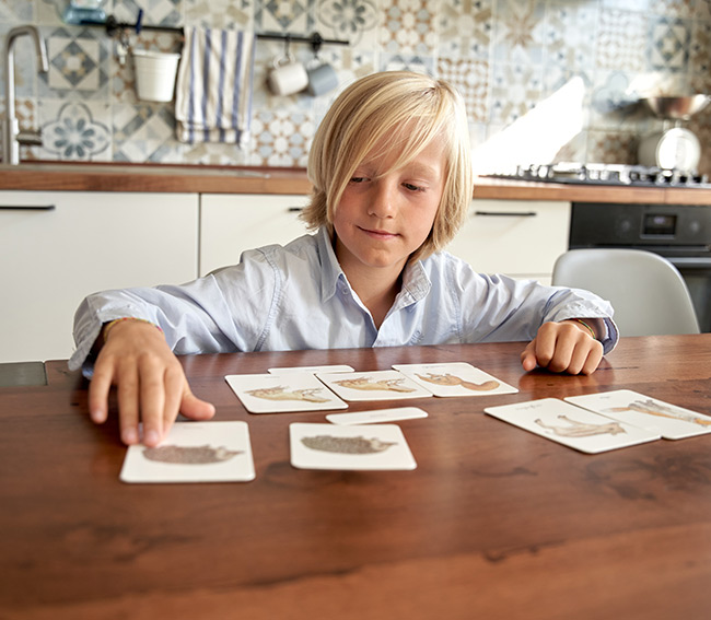 bambino con gioco di carte di slegato